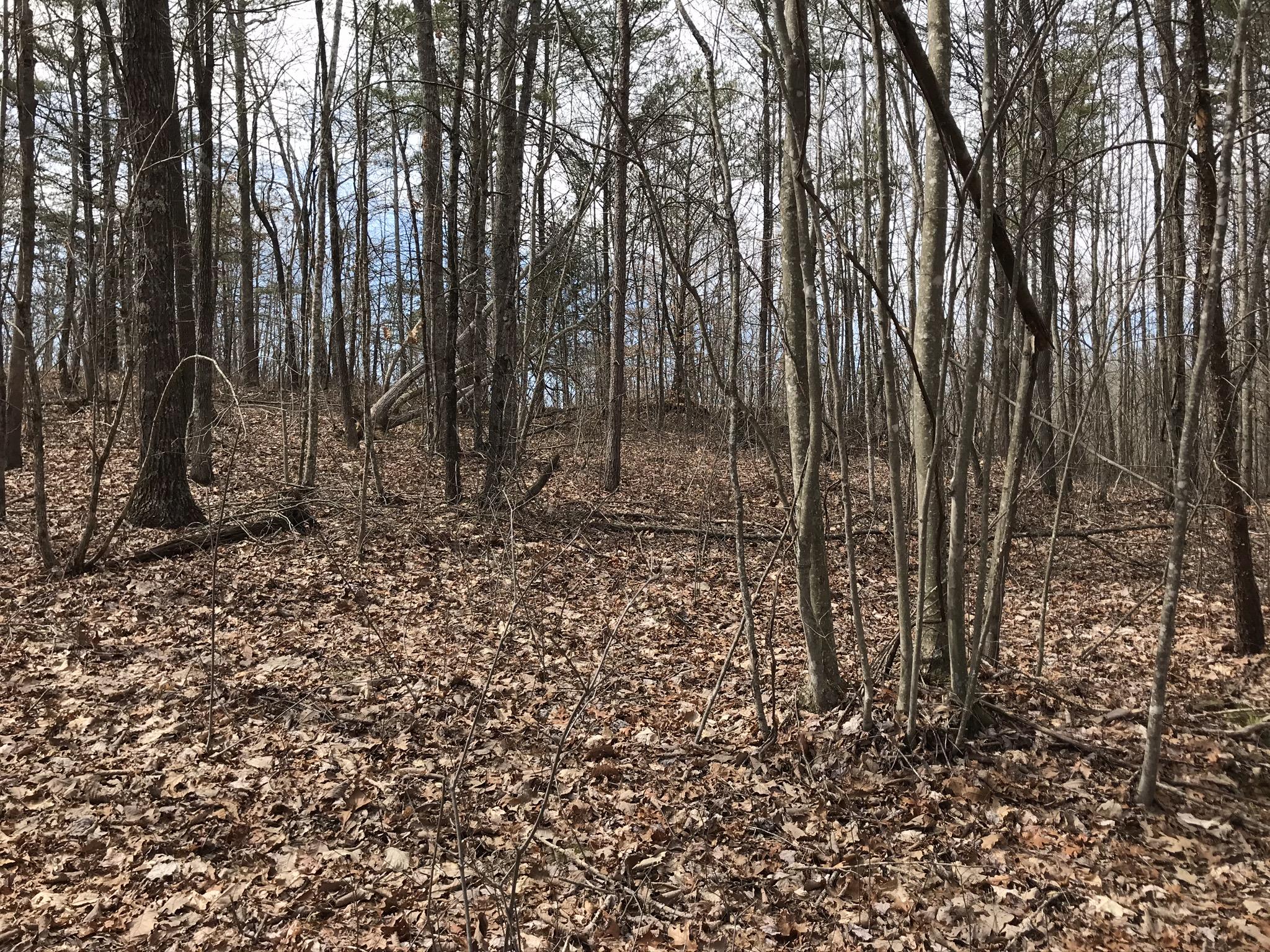 89 Hobbstown Road, Unit 89 Dunlap, TN 37327 - Photo 16 of 21 78AF834C-4D39-4F32-A398-FB6F9FB93C80