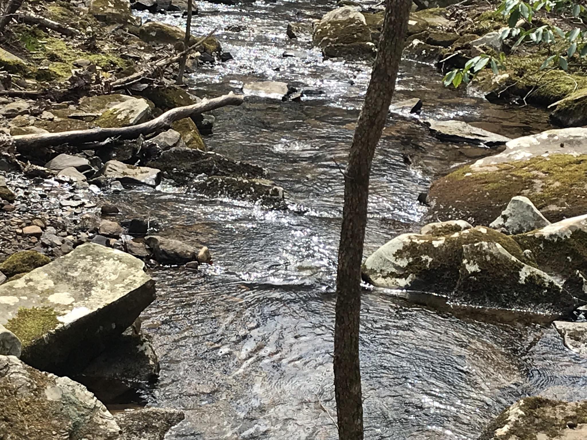 89 Hobbstown Road, Unit 89 Dunlap, TN 37327 - Photo 19 of 21 488A19D5-7DF2-454D-9431-B7923E53B3F9