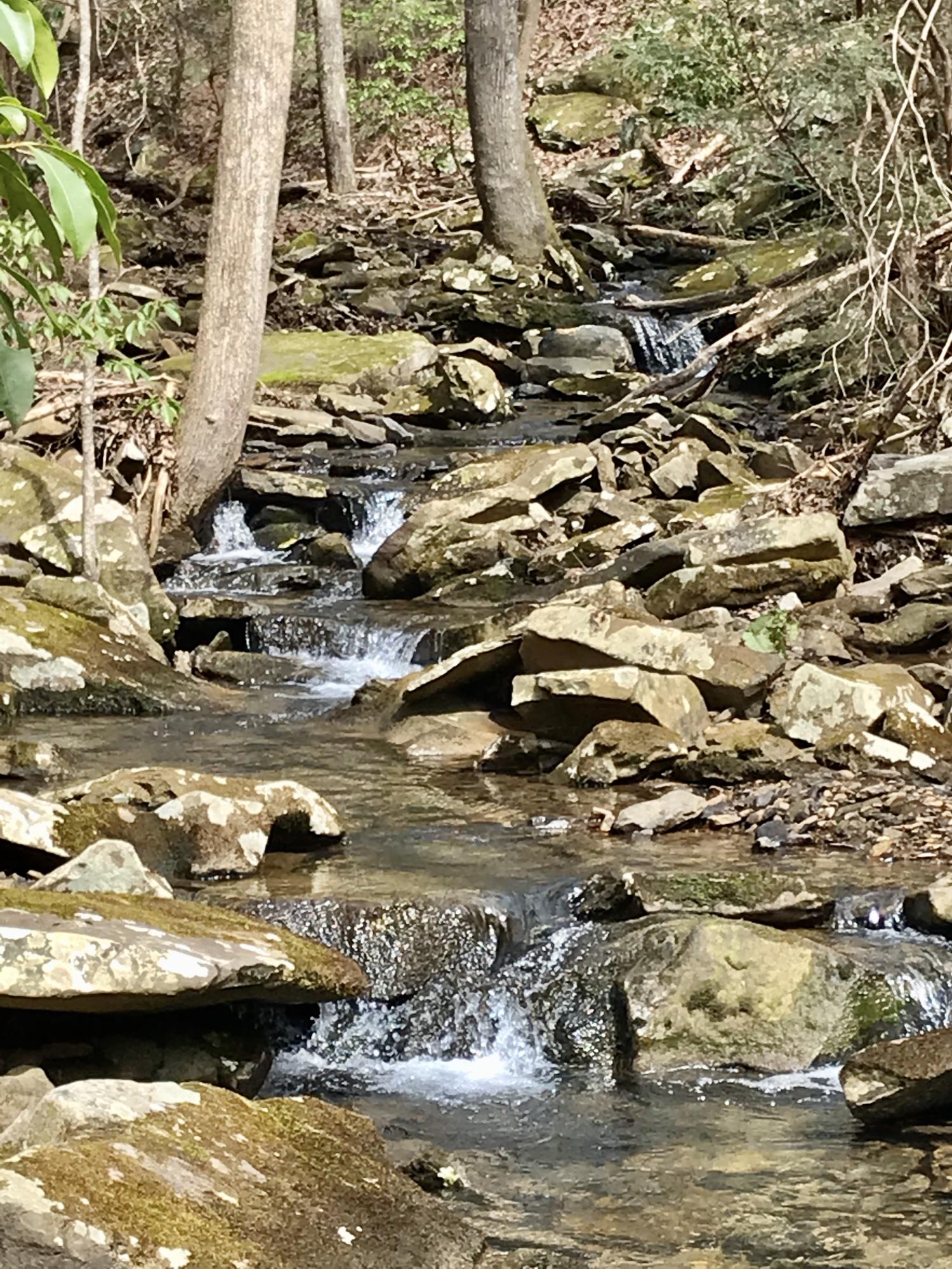 89 Hobbstown Road, Unit 89 Dunlap, TN 37327 - Photo 20 of 21 17BFCB08-06C5-4F41-A433-D60DCE48C0FB