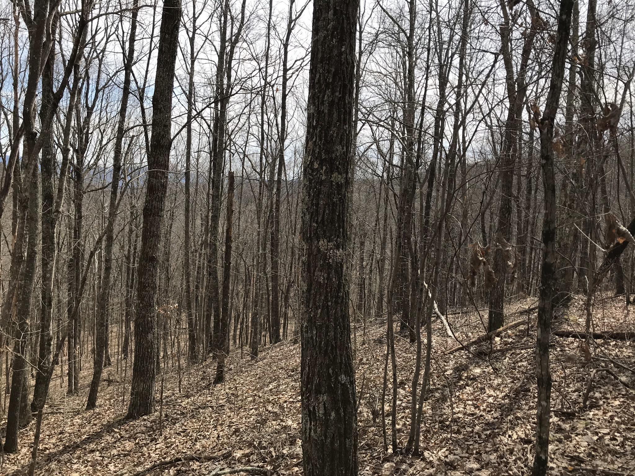 89 Hobbstown Road, Unit 89 Dunlap, TN 37327 - Photo 2 of 21 6762DC26-E095-4850-A188-FC07131A06AE