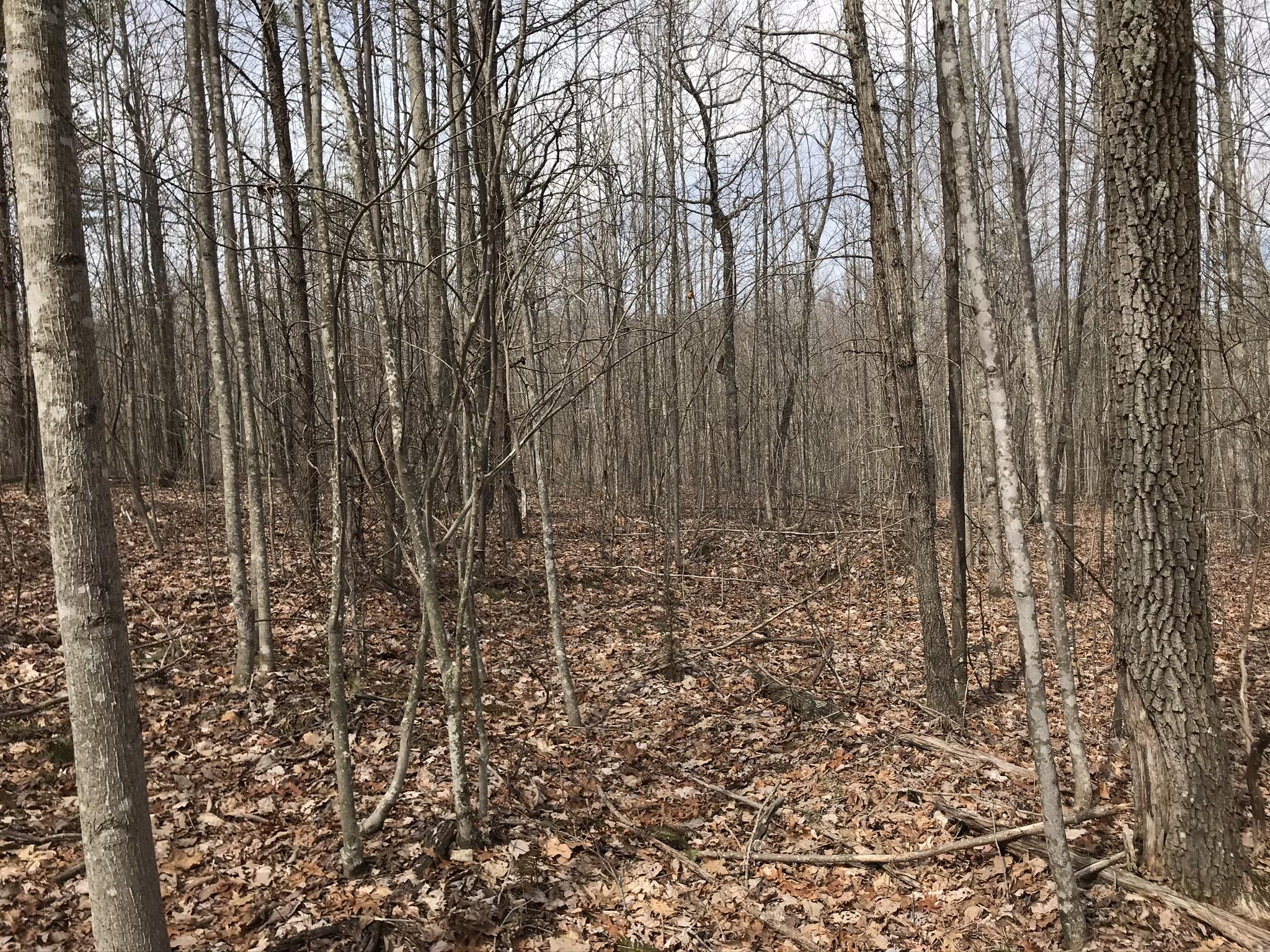 89 Hobbstown Road, Unit 89 Dunlap, TN 37327 - Photo 21 of 21 9BBEBD57-C27C-4DAD-B4E3-67E5A78668AF