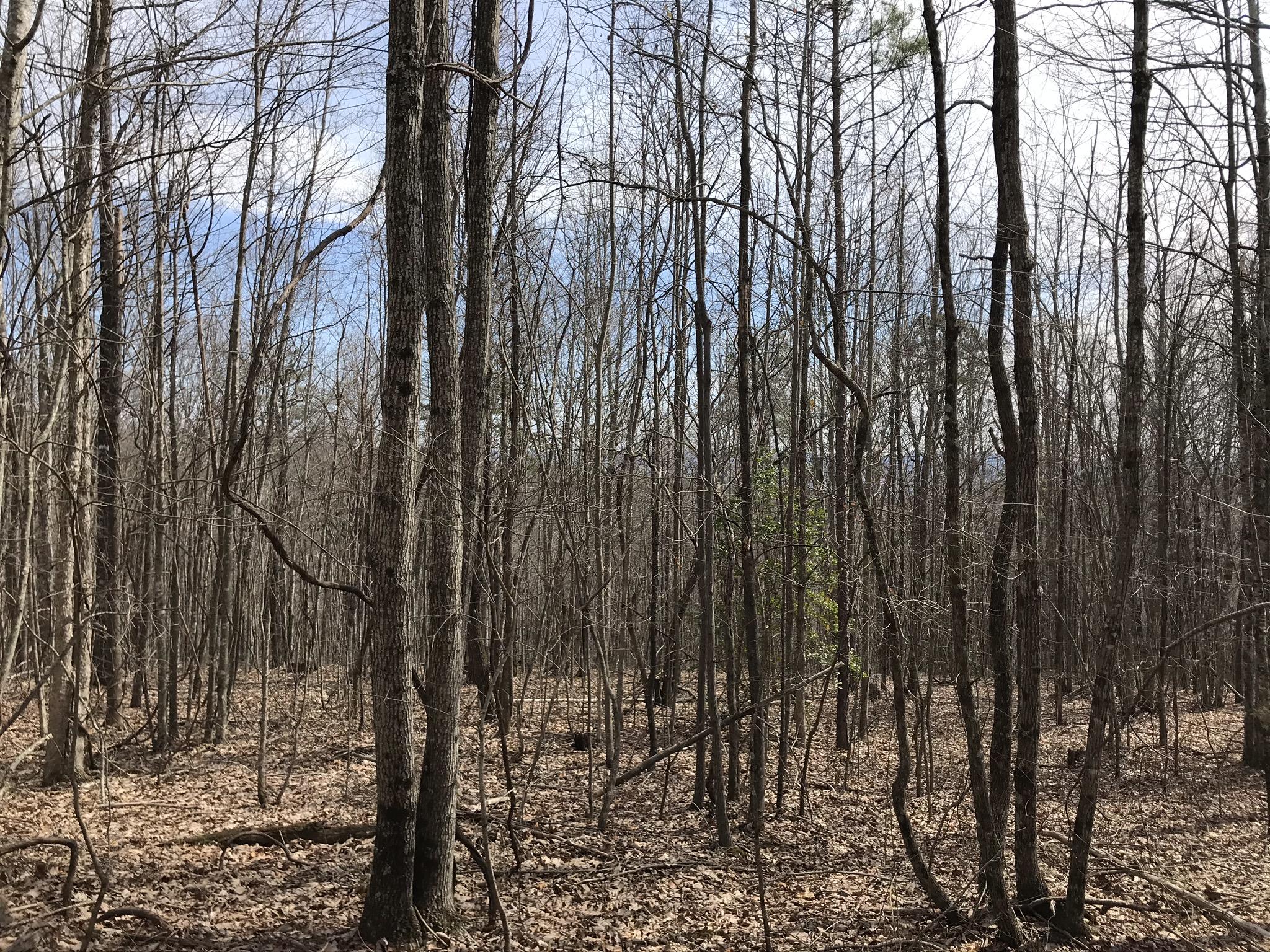 89 Hobbstown Road, Unit 89 Dunlap, TN 37327 - Photo 3 of 21 11F7D1B5-FFA4-4656-A3D9-384BA7F71E46