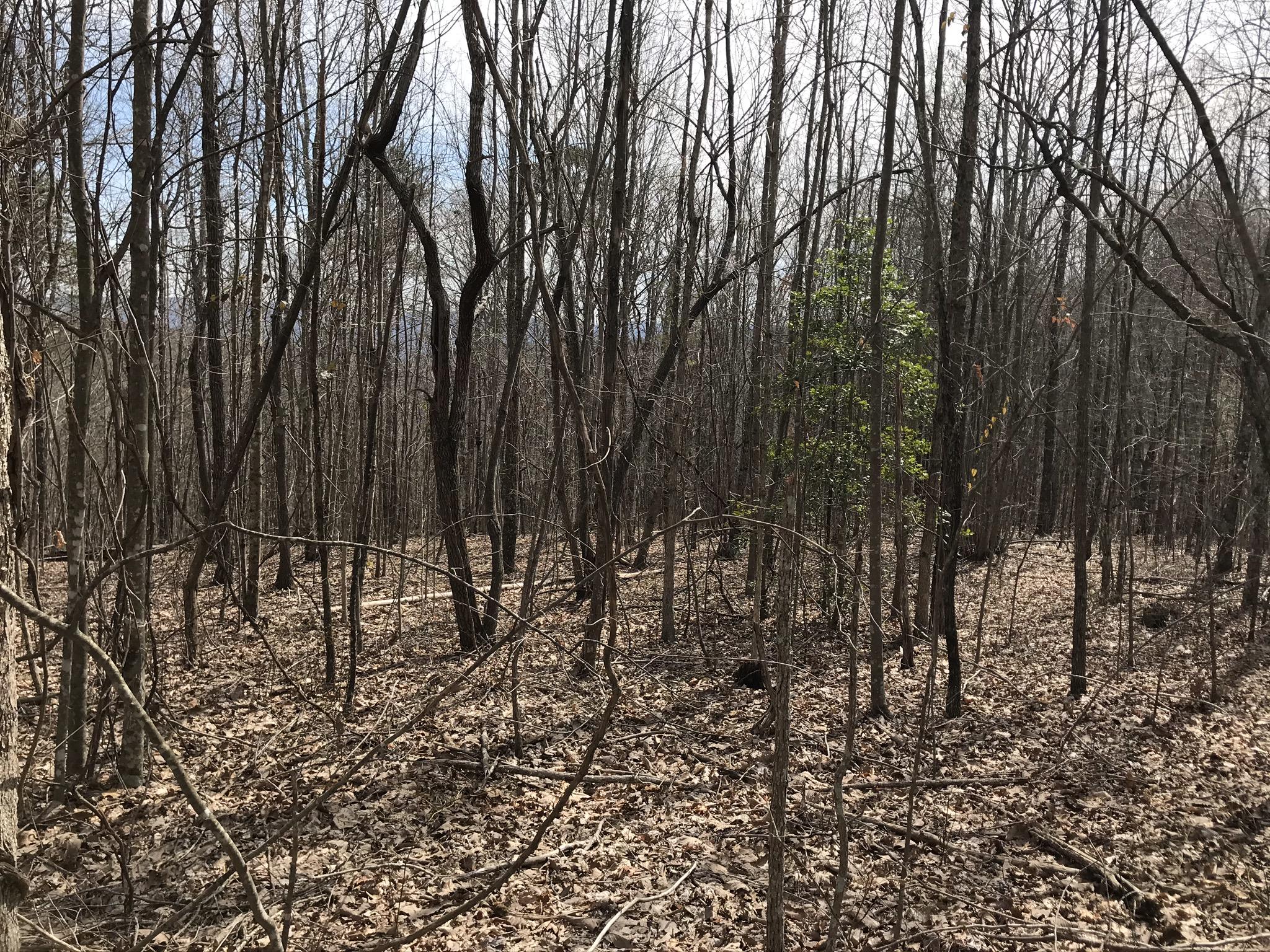 89 Hobbstown Road, Unit 89 Dunlap, TN 37327 - Photo 4 of 21 3024CAB9-320F-43A6-A6B7-64DCC4321B65