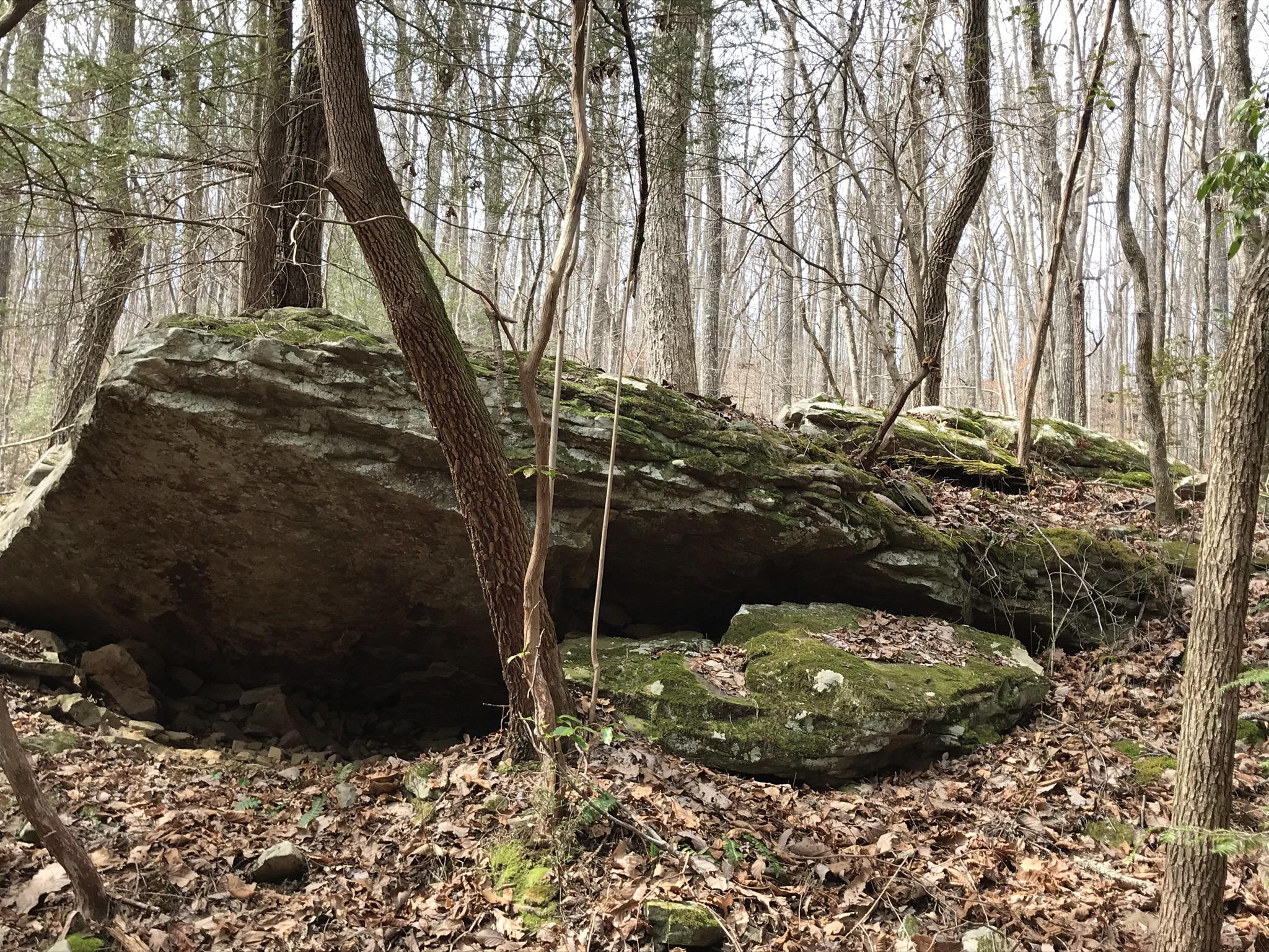 89 Hobbstown Road, Unit 89 Dunlap, TN 37327 - Photo 6 of 21 0AB45136-7CA2-48A6-92F6-D90FAF9D2179