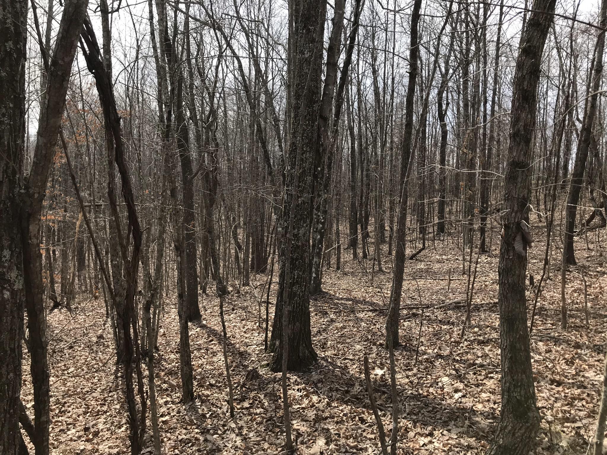 89 Hobbstown Road, Unit 89 Dunlap, TN 37327 - Photo 7 of 21 0E96787F-74CE-4904-8200-9E95350A4FD2