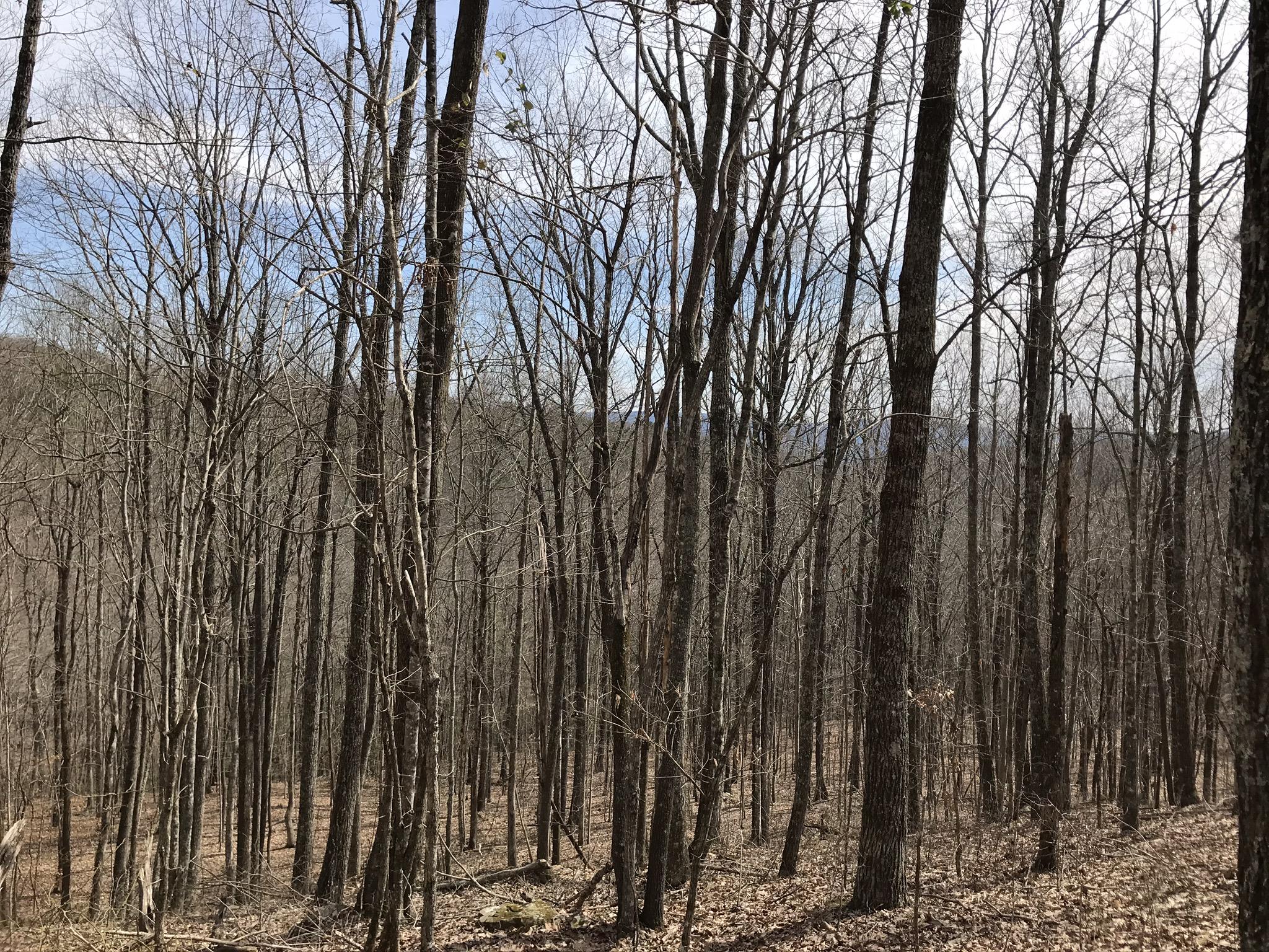 89 Hobbstown Road, Unit 89 Dunlap, TN 37327 - Photo 8 of 21 55A7DA37-812A-49C9-9346-A5B095E8EF94