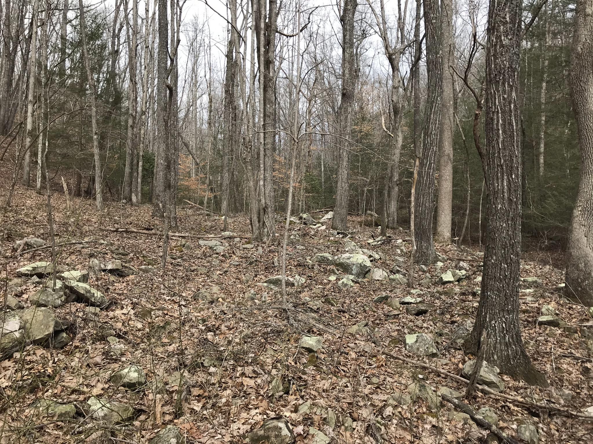 89 Hobbstown Road, Unit 89 Dunlap, TN 37327 - Photo 10 of 21 67E07286-8801-48F6-965F-F736C0BB2B64