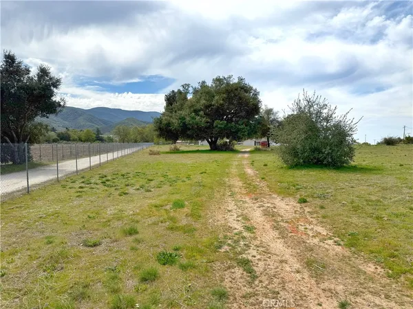 a view of a yard with an trees