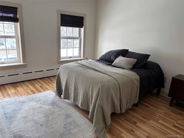 $3,000 | 11 West Bridge Street, Unit REAR, Saugerties, NY 12477