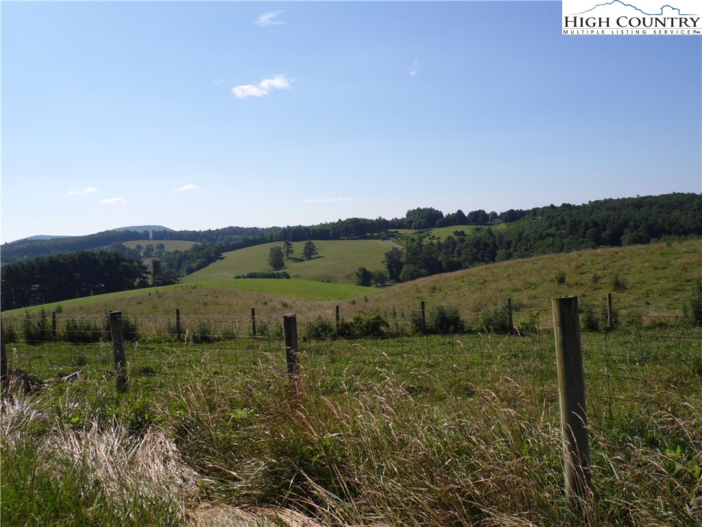 1032 Wagoner Ridge Road Ennice, NC 28623 - Photo 1 of 23 a view of a lush green outdoor space with a lake view