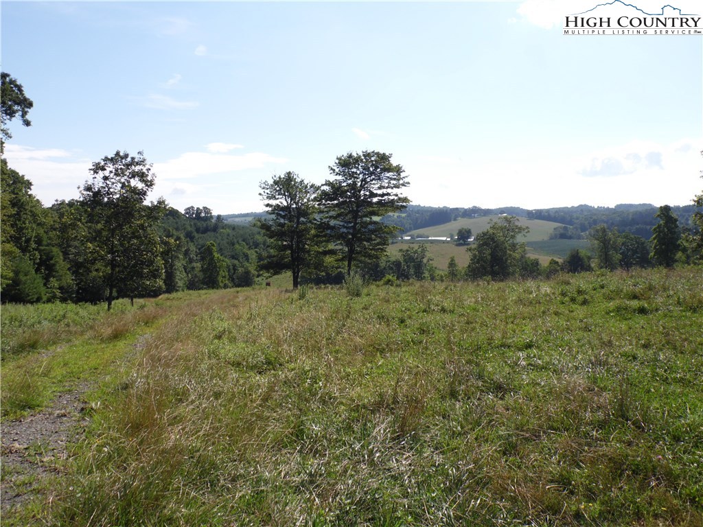 1032 Wagoner Ridge Road Ennice, NC 28623 - Photo 17 of 23 a view of a lush green field