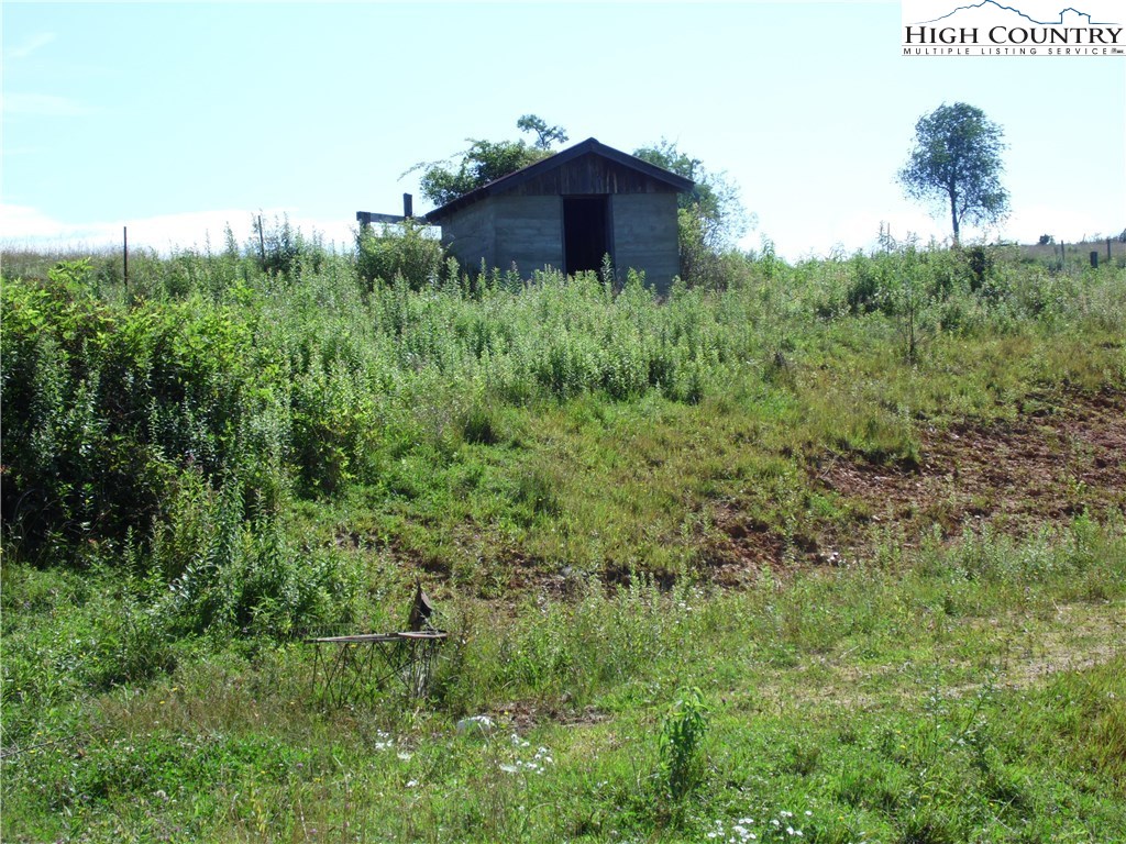 1032 Wagoner Ridge Road Ennice, NC 28623 - Photo 19 of 23 a view of a big yard with large trees and plants
