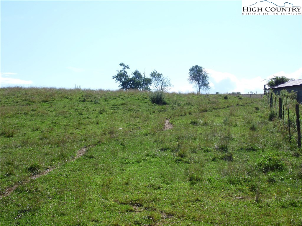 1032 Wagoner Ridge Road Ennice, NC 28623 - Photo 23 of 23 a view of a bunch of trees in a field