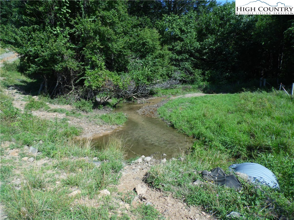 1032 Wagoner Ridge Road Ennice, NC 28623 - Photo 3 of 23 a view of a yard with plants and a bench
