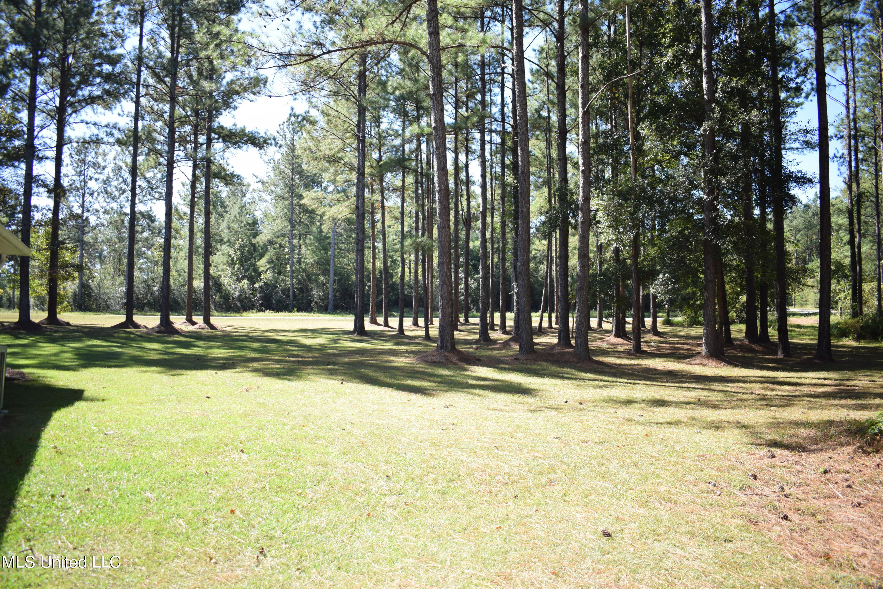 1214 Sally Parker Road Lucedale, MS 39452 - Photo 27 of 30 Other