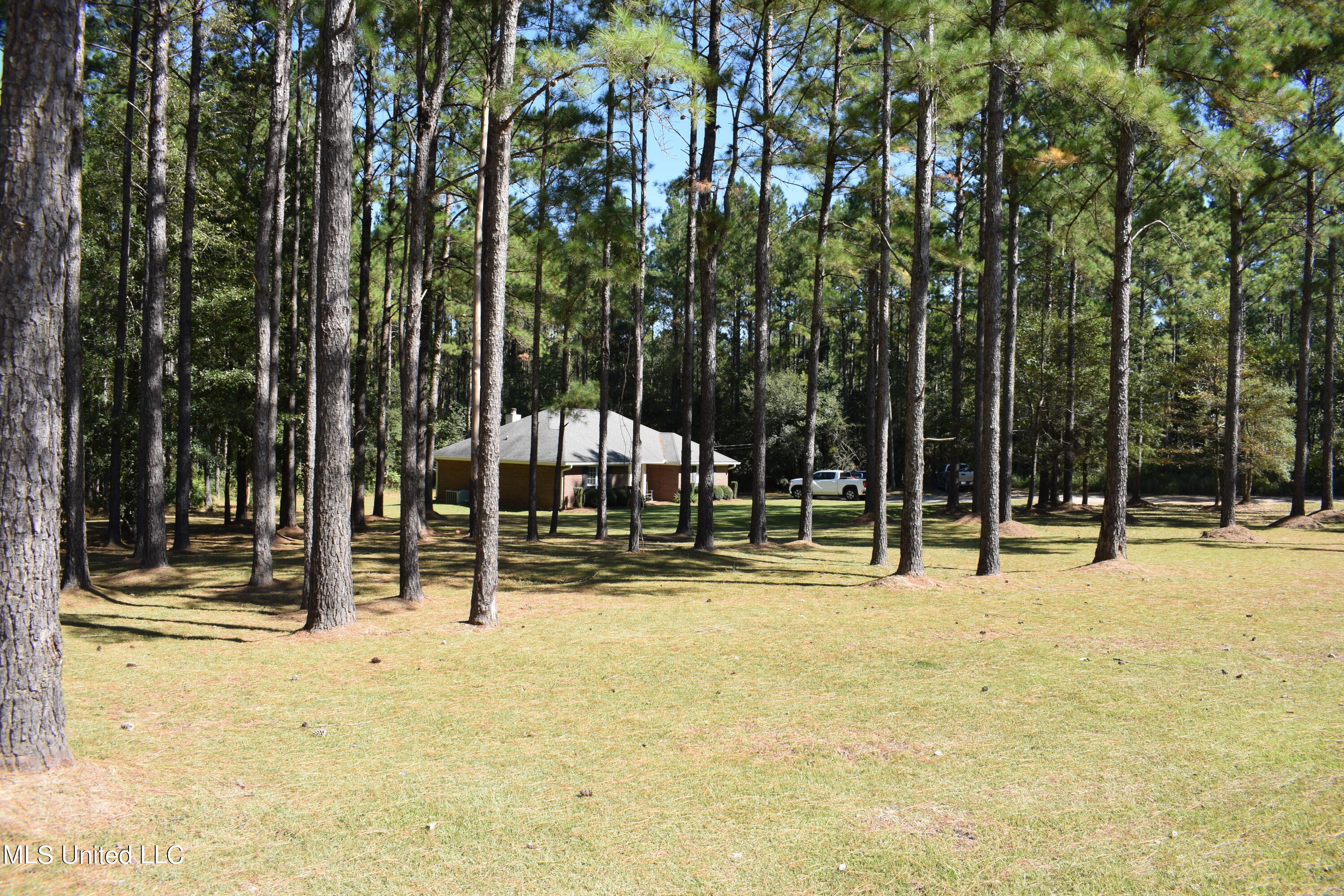 1214 Sally Parker Road Lucedale, MS 39452 - Photo 29 of 30 Front