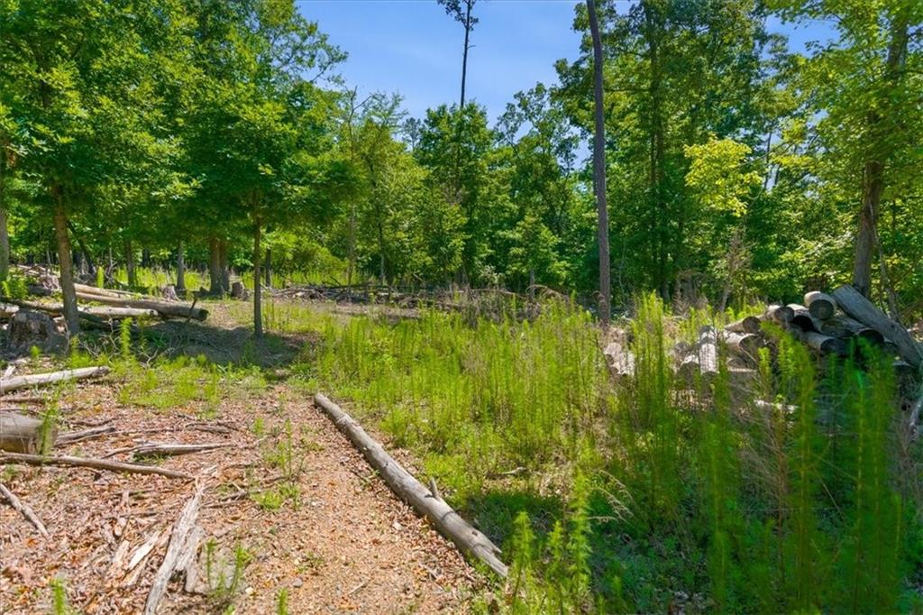 0 Williams Road Southeast Silver Creek, GA 30173 - Photo 35 of 35