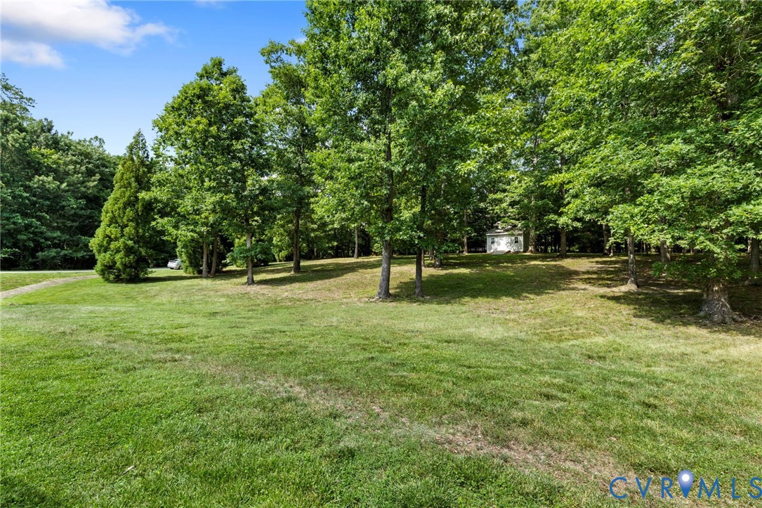 13524 Mountcastle Road Chesterfield, VA 23832 - Photo 29 of 44 Expansive grassy area featuring numerous mature tr