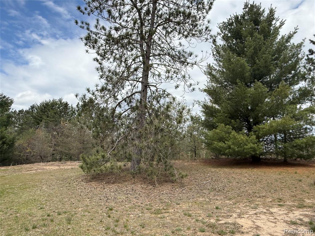 11245 Cedar Road Lake, MI 48632 - Photo 42 of 46