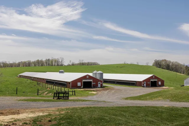 a car parked in the middle of a field