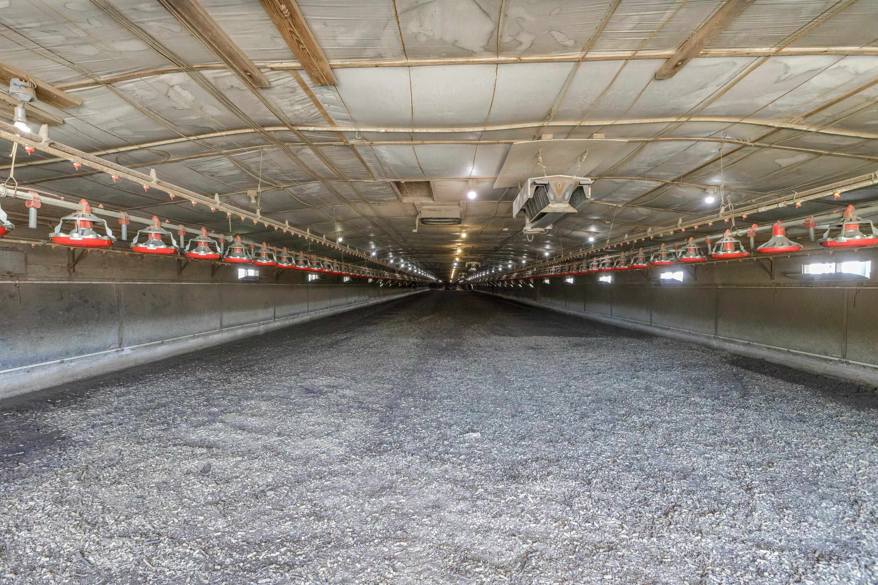 344 Free Mason Run Road Mount Solon, VA 22843 - Photo 15 of 45 a view of a water with an empty room