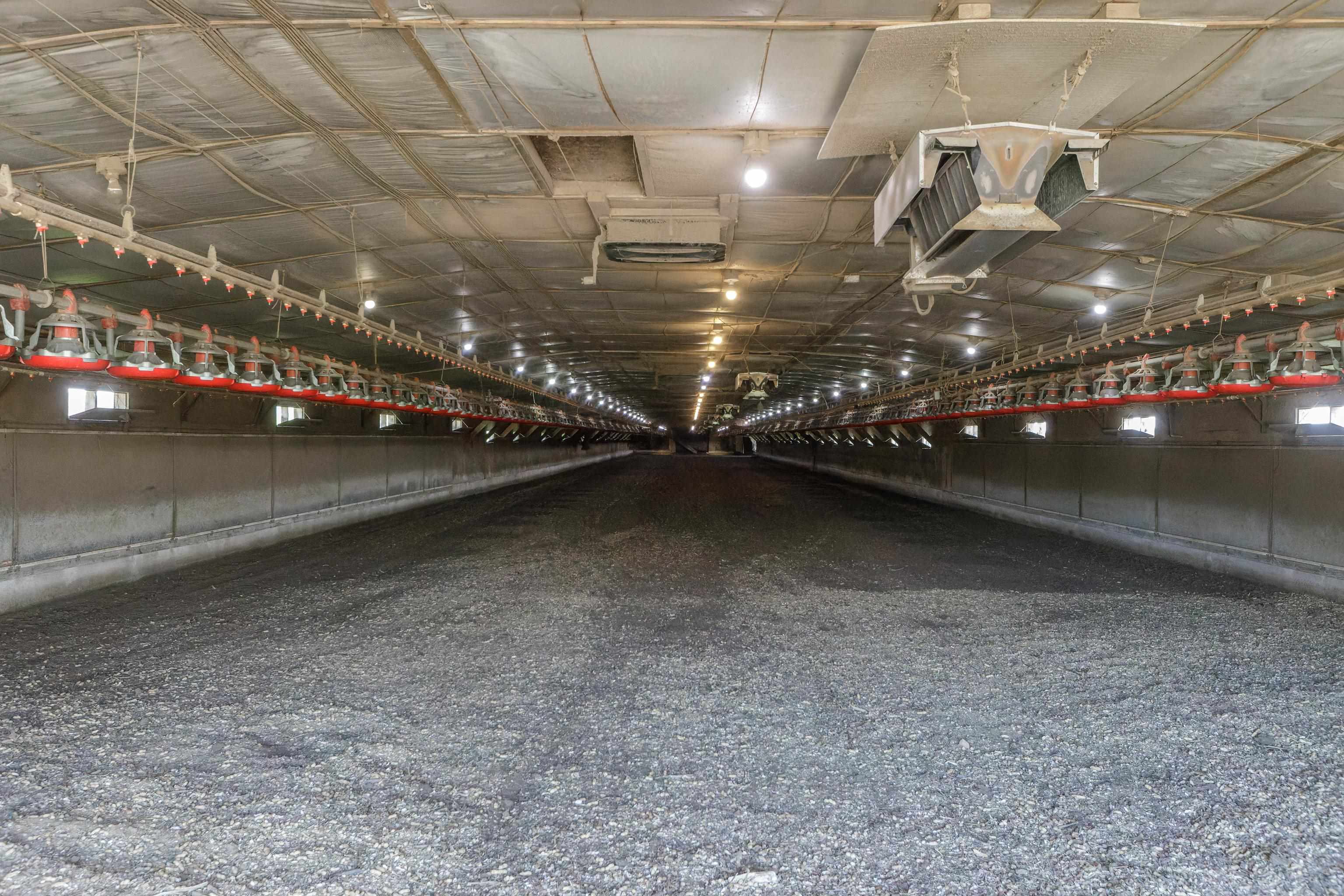 344 Free Mason Run Road Mount Solon, VA 22843 - Photo 16 of 45 a view of a indoor garage