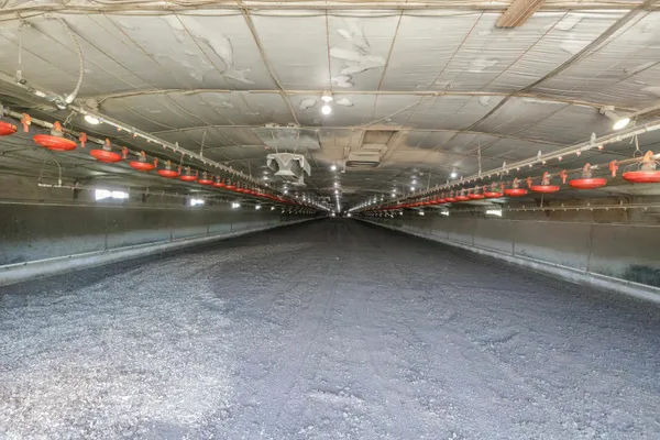 a view of a room with racks