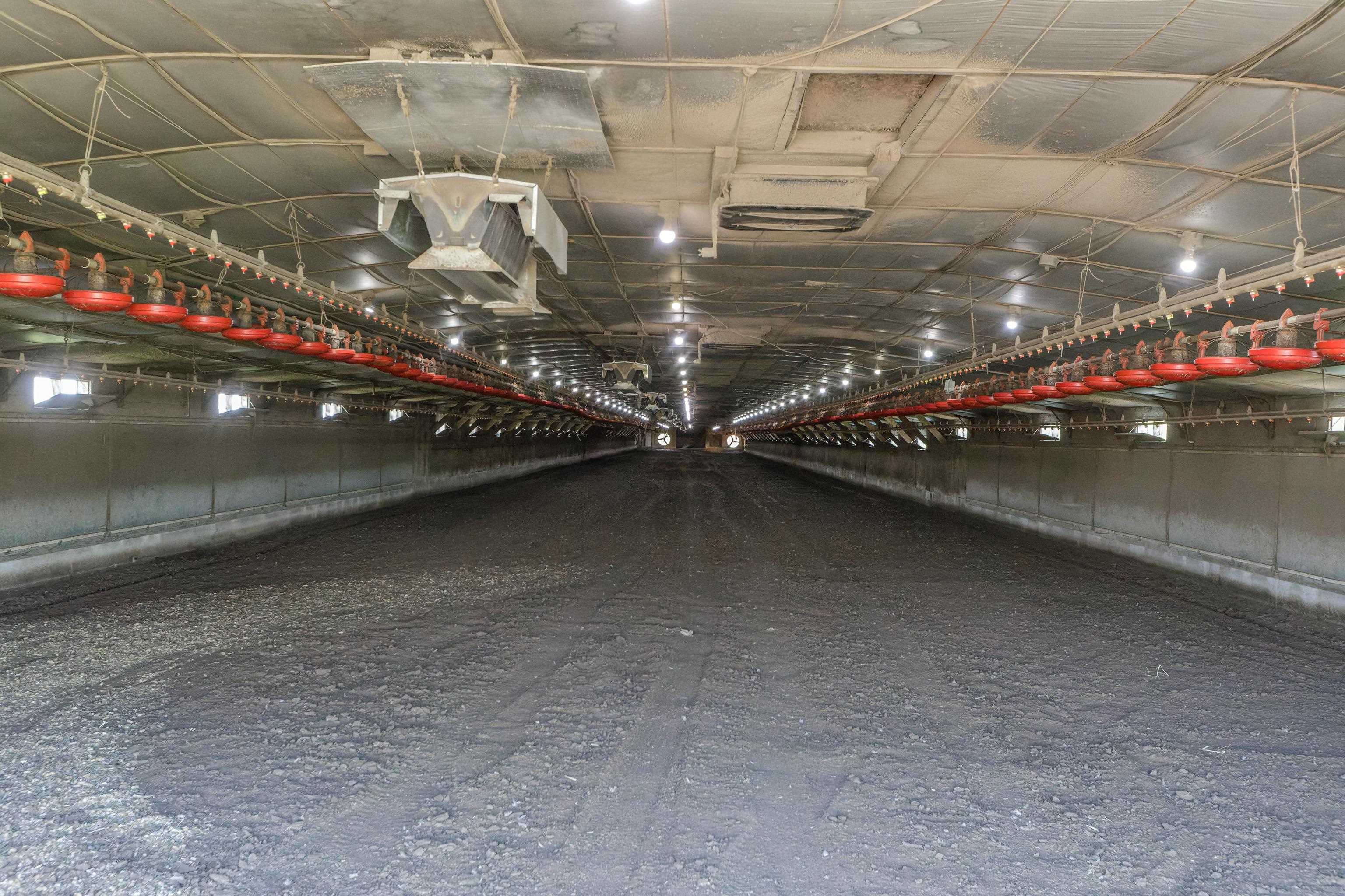 344 Free Mason Run Road Mount Solon, VA 22843 - Photo 18 of 45 a view of a room with racks