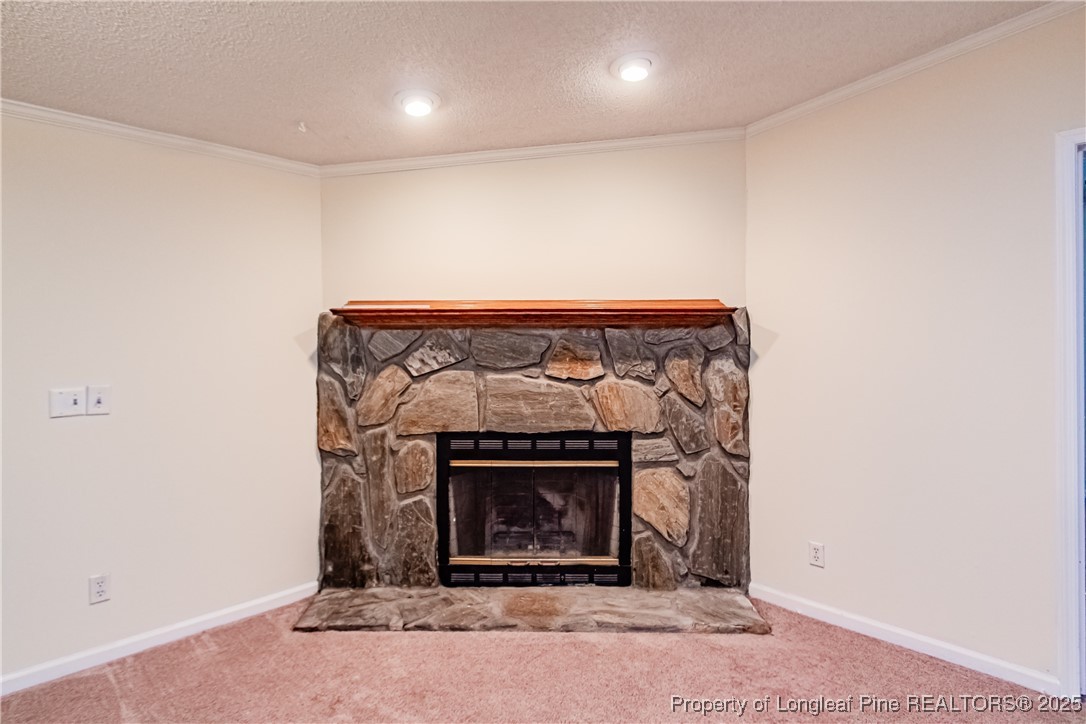 41 Dixie Trail Road Lumber Bridge, NC 28357 - Photo 21 of 33