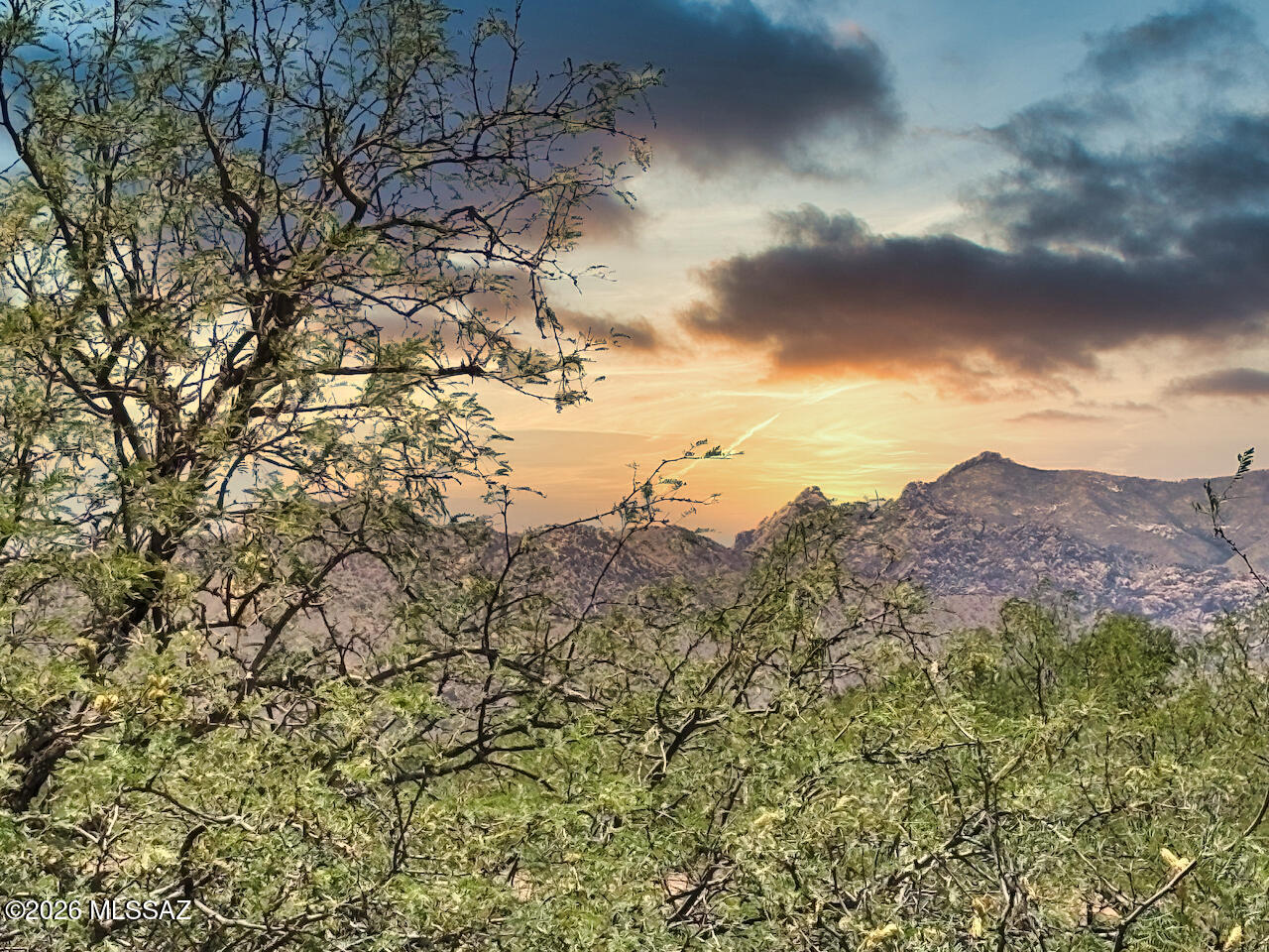 4.65-acres 4.65-acres Central Road Pearce, AZ 85625 - Photo 1 of 15 IMG_1343