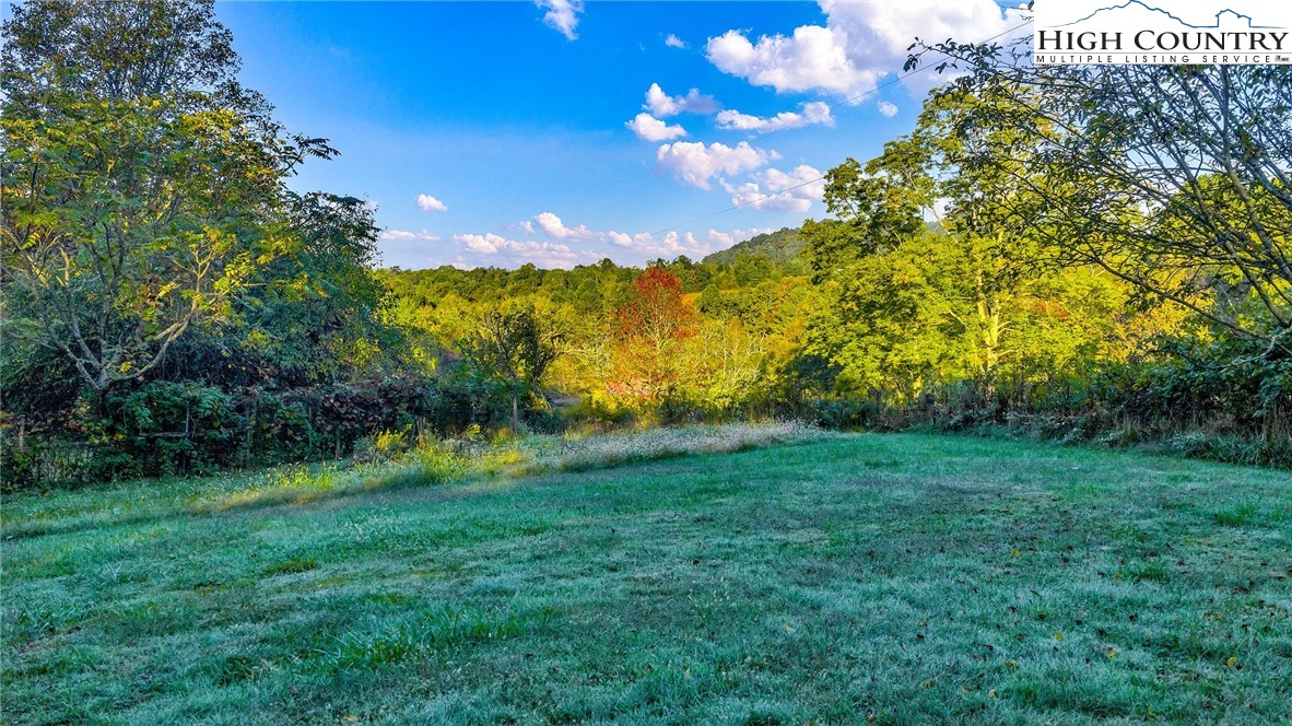 117 Andrews Ridge Road Sparta, NC 28675 - Photo 32 of 50