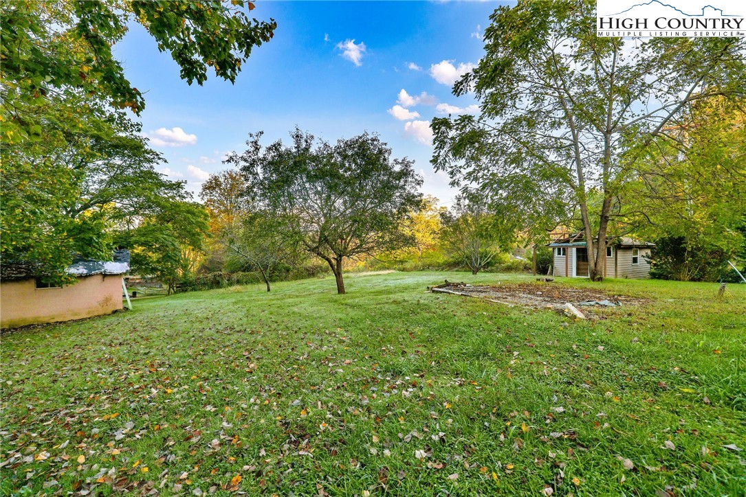 117 Andrews Ridge Road Sparta, NC 28675 - Photo 42 of 50 a view of a tree in a yard