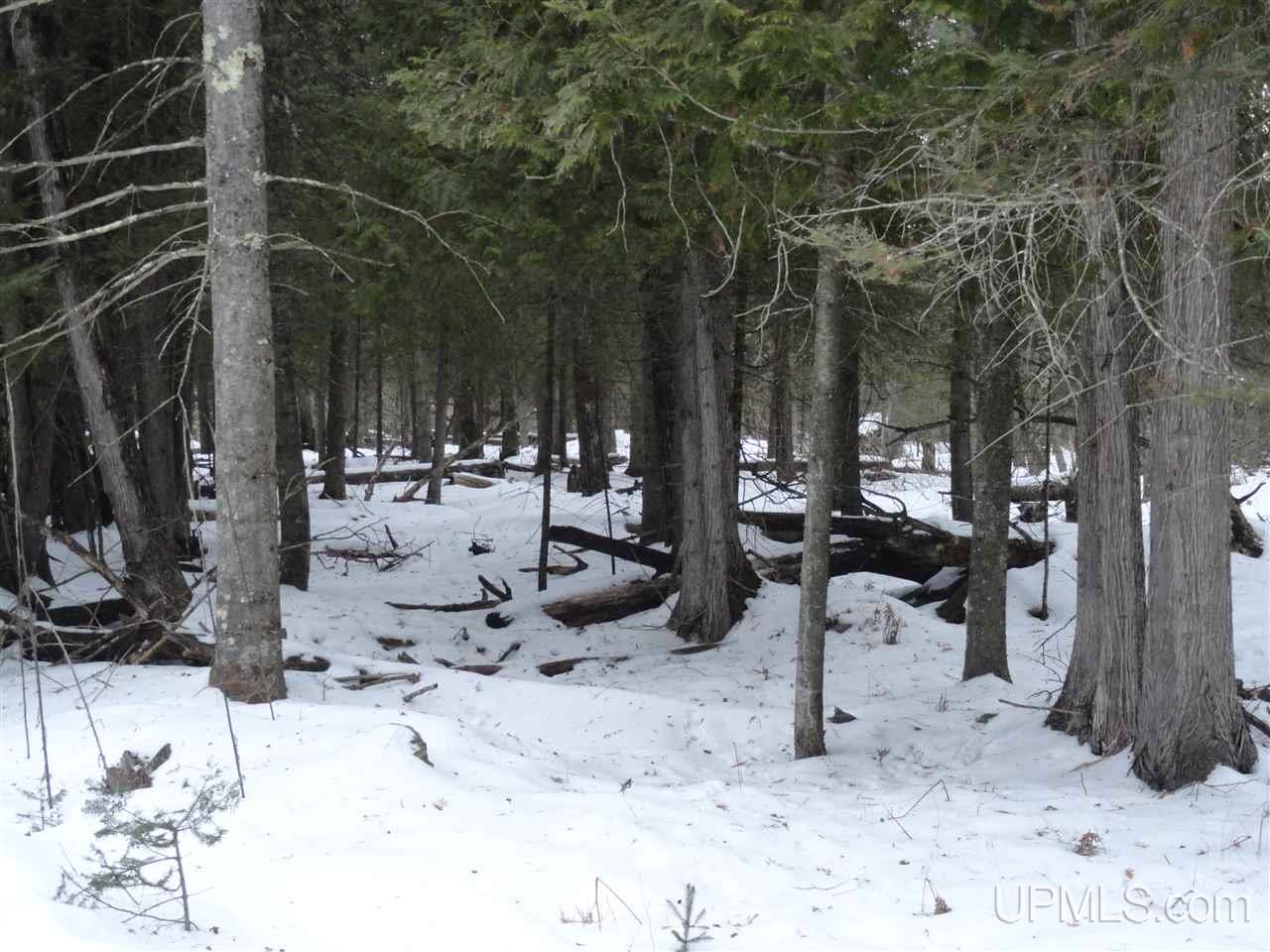 416 (23rd Road Gladstone, MI 49837 - Photo 21 of 36
