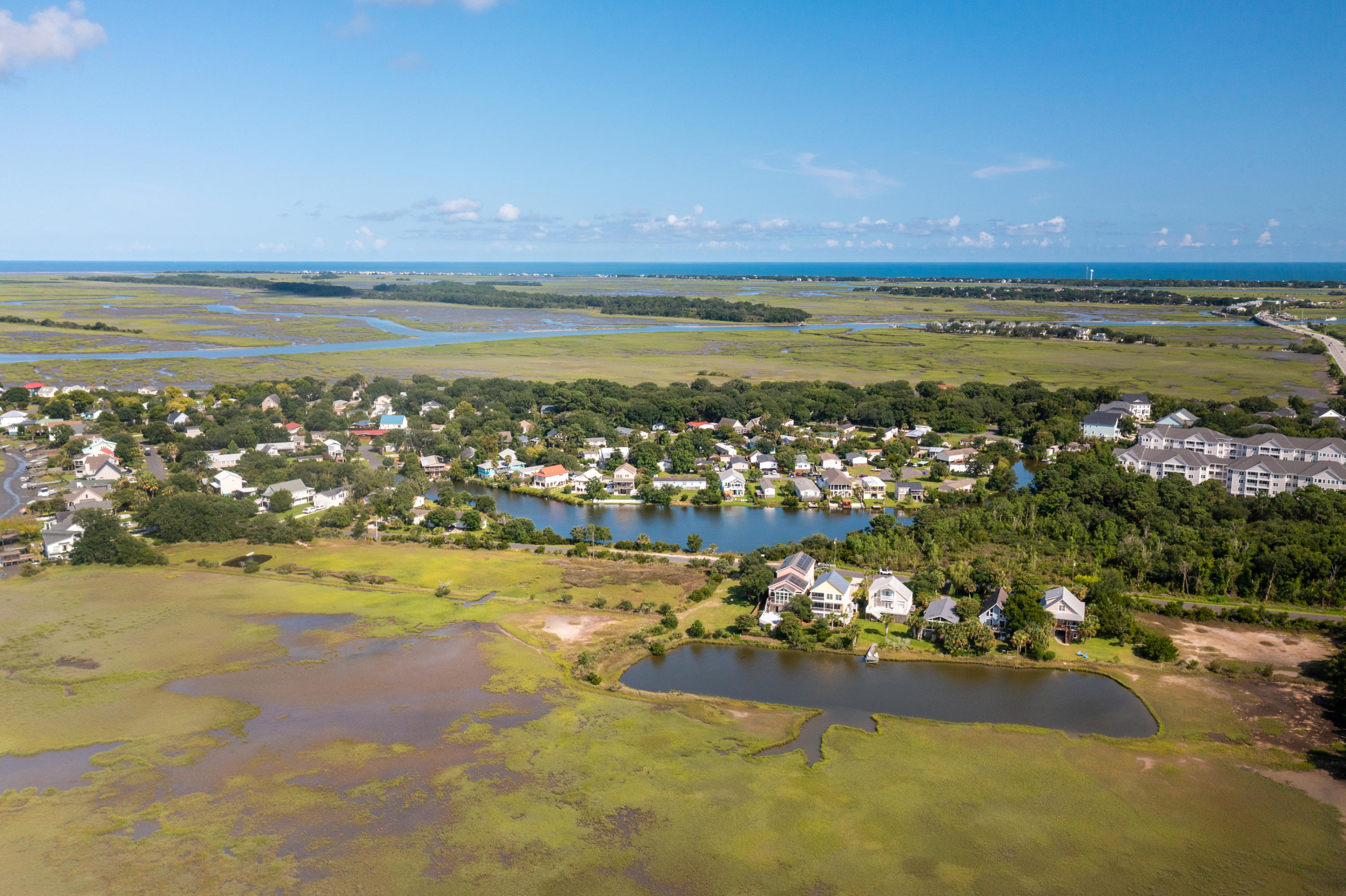 1664 Teal Marsh Road Charleston, SC 29412 - Photo 51 of 52 Aerial View