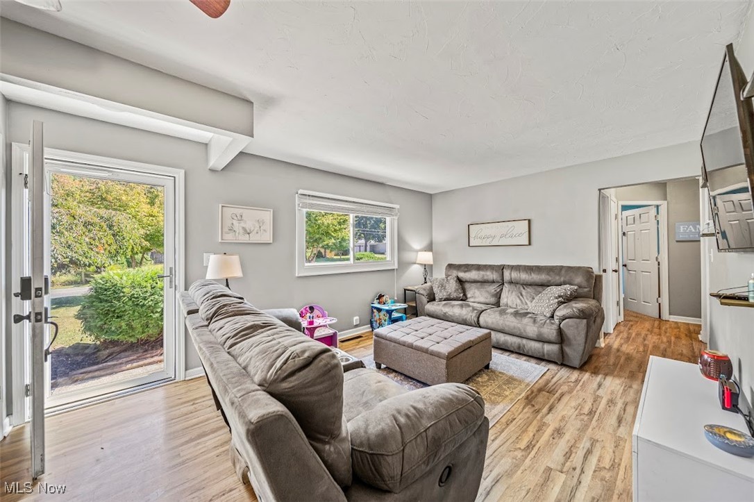 1864 Green Road Madison, OH 44057 - Photo 5 of 29 Living room featuring light wood-type flooring and ceiling fan