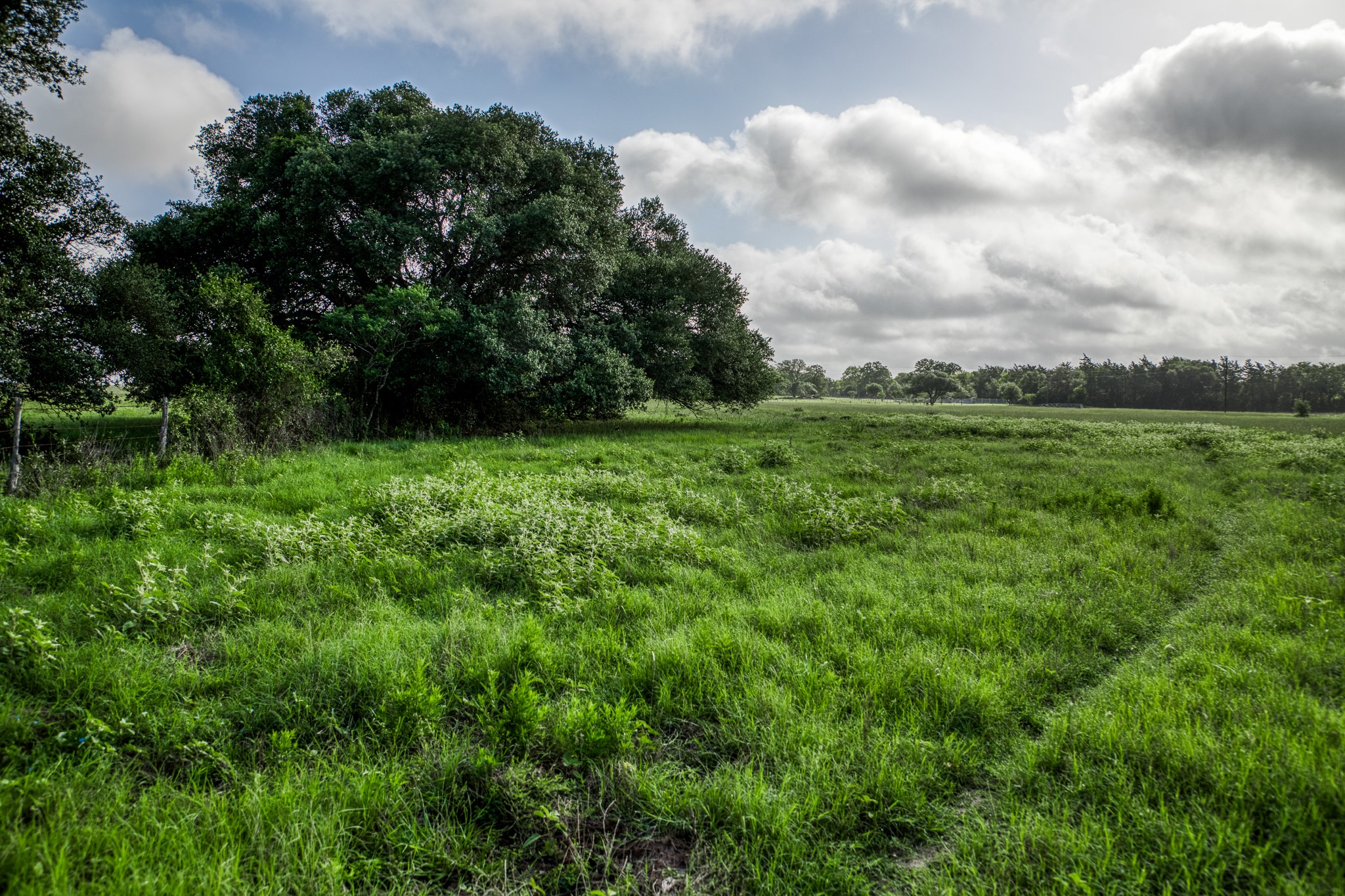 3 South Nassau Road Round Top, TX 78954 - Photo 11 of 23 a view of a lush green space