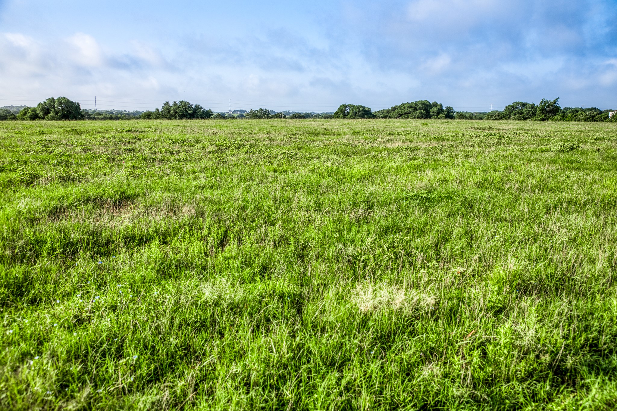 3 South Nassau Road Round Top, TX 78954 - Photo 4 of 23 a view of a lush green outdoor space with a lake view