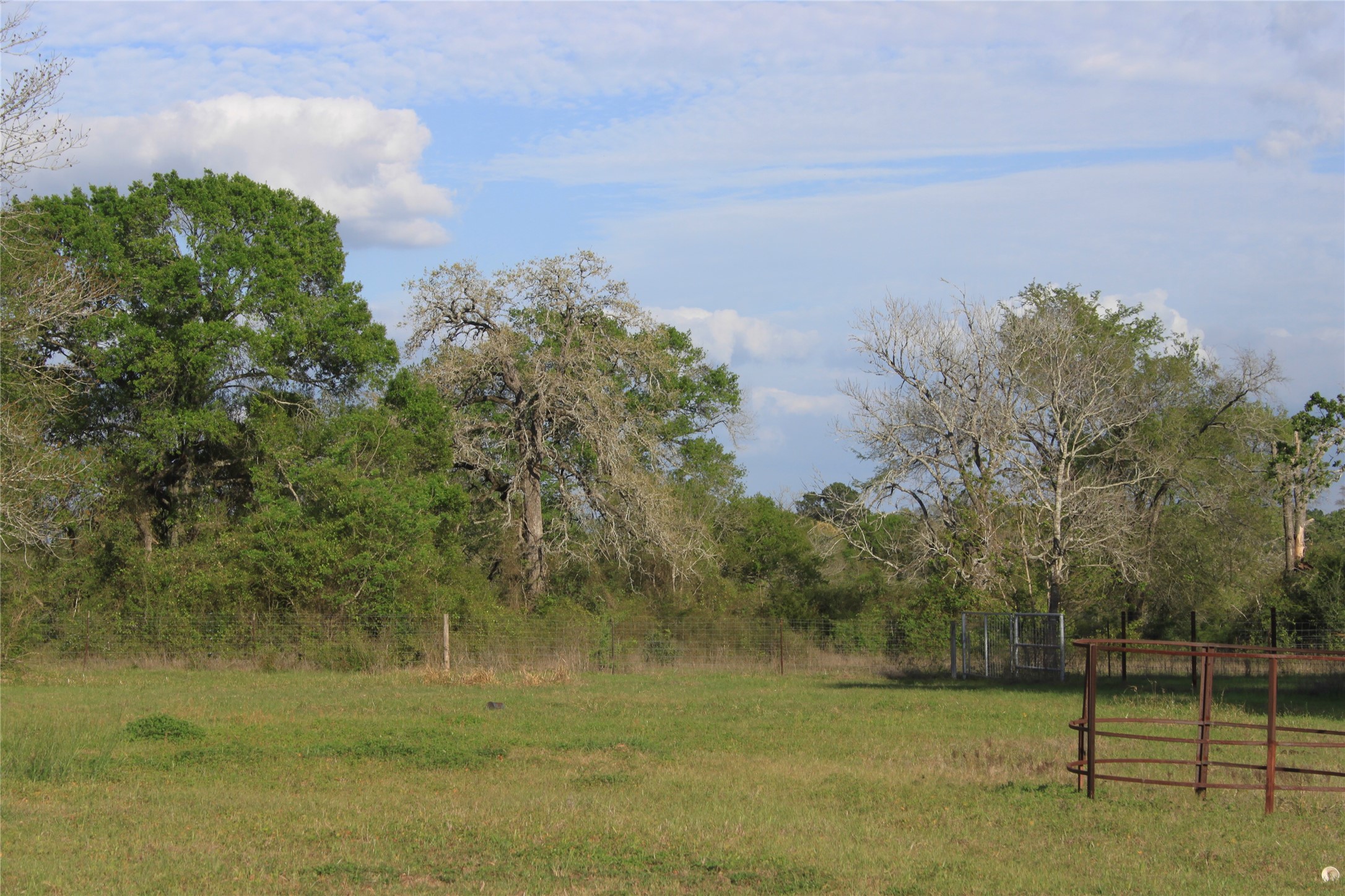 27134 Muckelroy Road Hempstead, TX 77445 - Photo 8 of 9