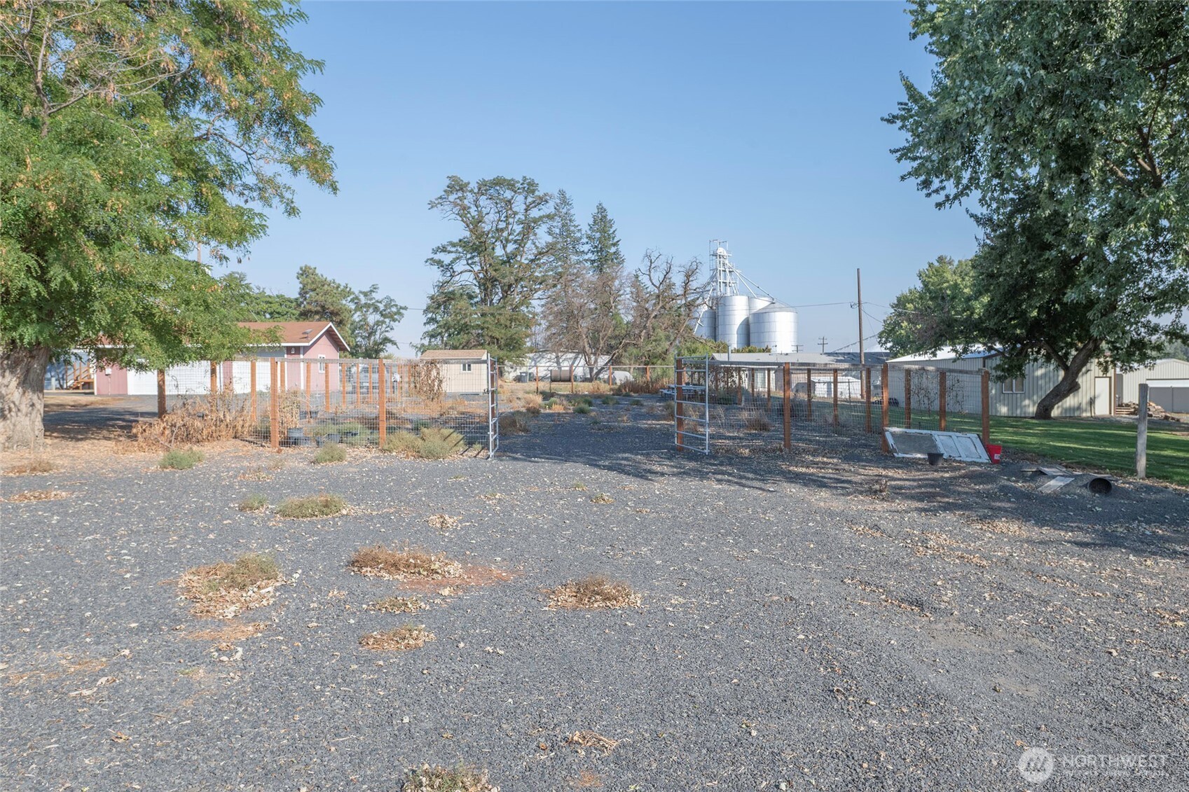 202 West 1st Street Prescott, WA 99348 - Photo 5 of 40 a view of a yard with a large tree