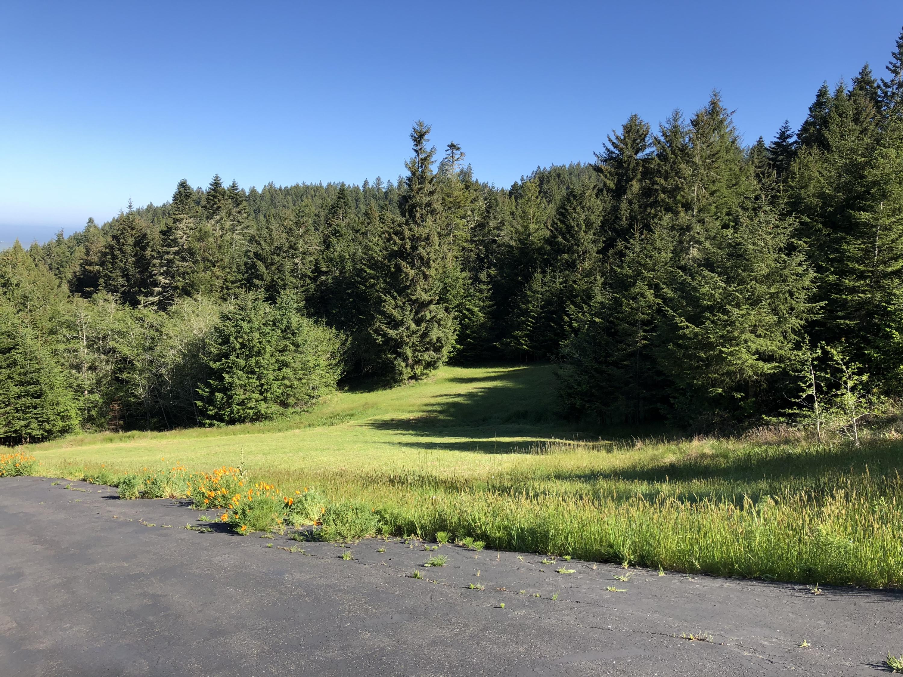 1465 Splinter Ln Bayside Lane Arcata, CA 95521 - Photo 30 of 40