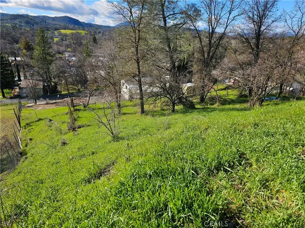 a view of a yard with a tree