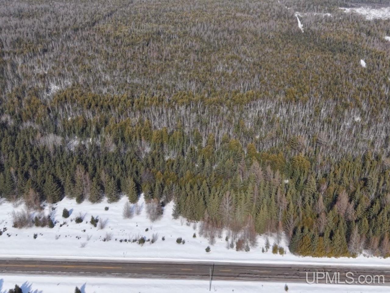 W 80-acres River Road Gulliver, MI 49840 - Photo 18 of 29