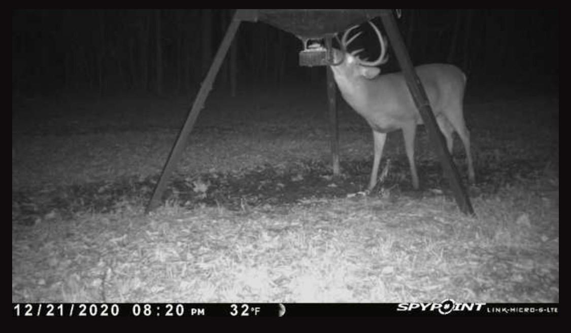 342 Simpson Road Pickens, MS 39146 - Photo 44 of 49 Photo 44
