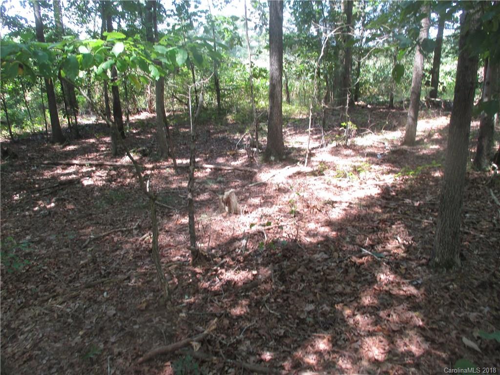 0 Winfield Road Polkton, NC 28135 - Photo 3 of 4