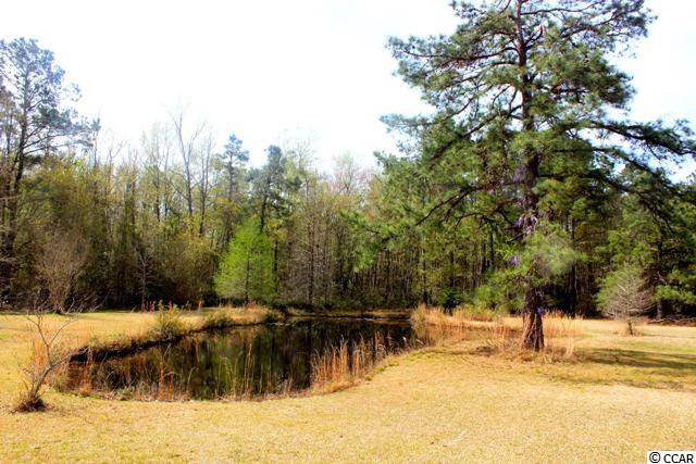 2531 Allen Dew Road Conway, SC 29527 - Photo 23 of 24