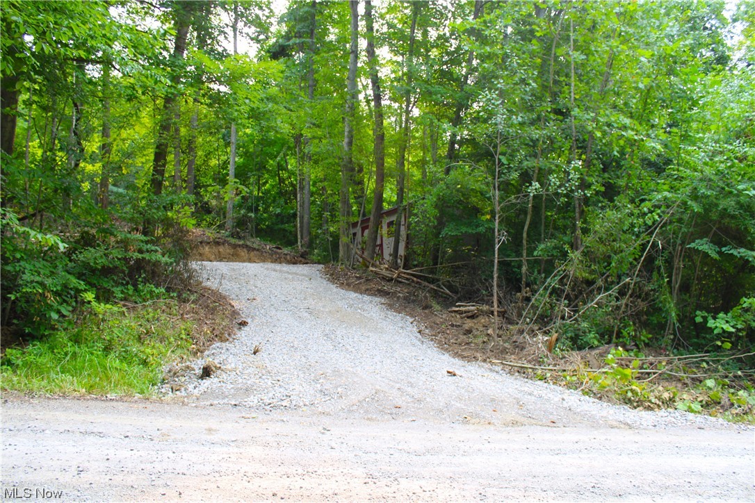 Sycamore Road Quaker City, OH 43773 - Photo 6 of 27