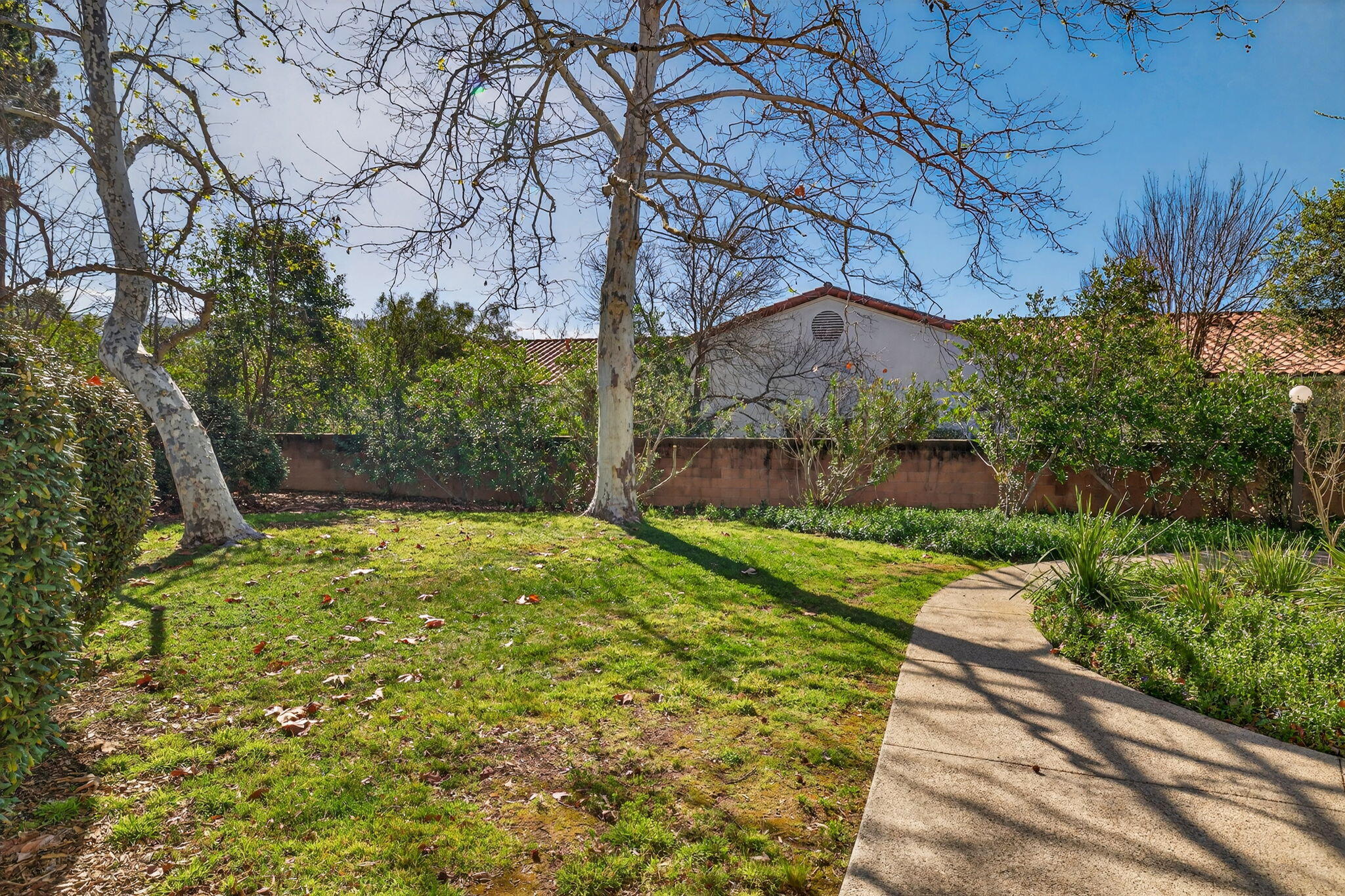 203 North Carillo Road, Unit B Ojai, CA 93023 - Photo 8 of 50 9-web-or-mls-UpmarketMedia-203NCar-152