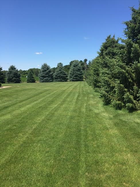 7332 County Line Road New Carlisle, IN 46552 - Photo 6 of 22 Gallery Image 6