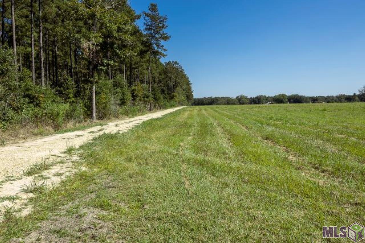 V3 Jim Price Road Clinton, LA 70722 - Photo 3 of 6