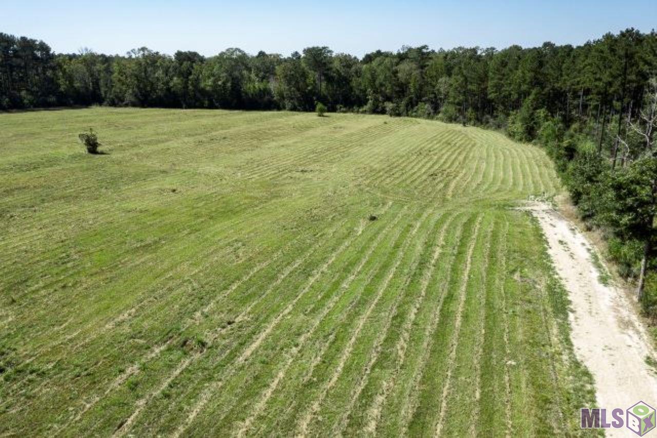 V3 Jim Price Road Clinton, LA 70722 - Photo 6 of 6